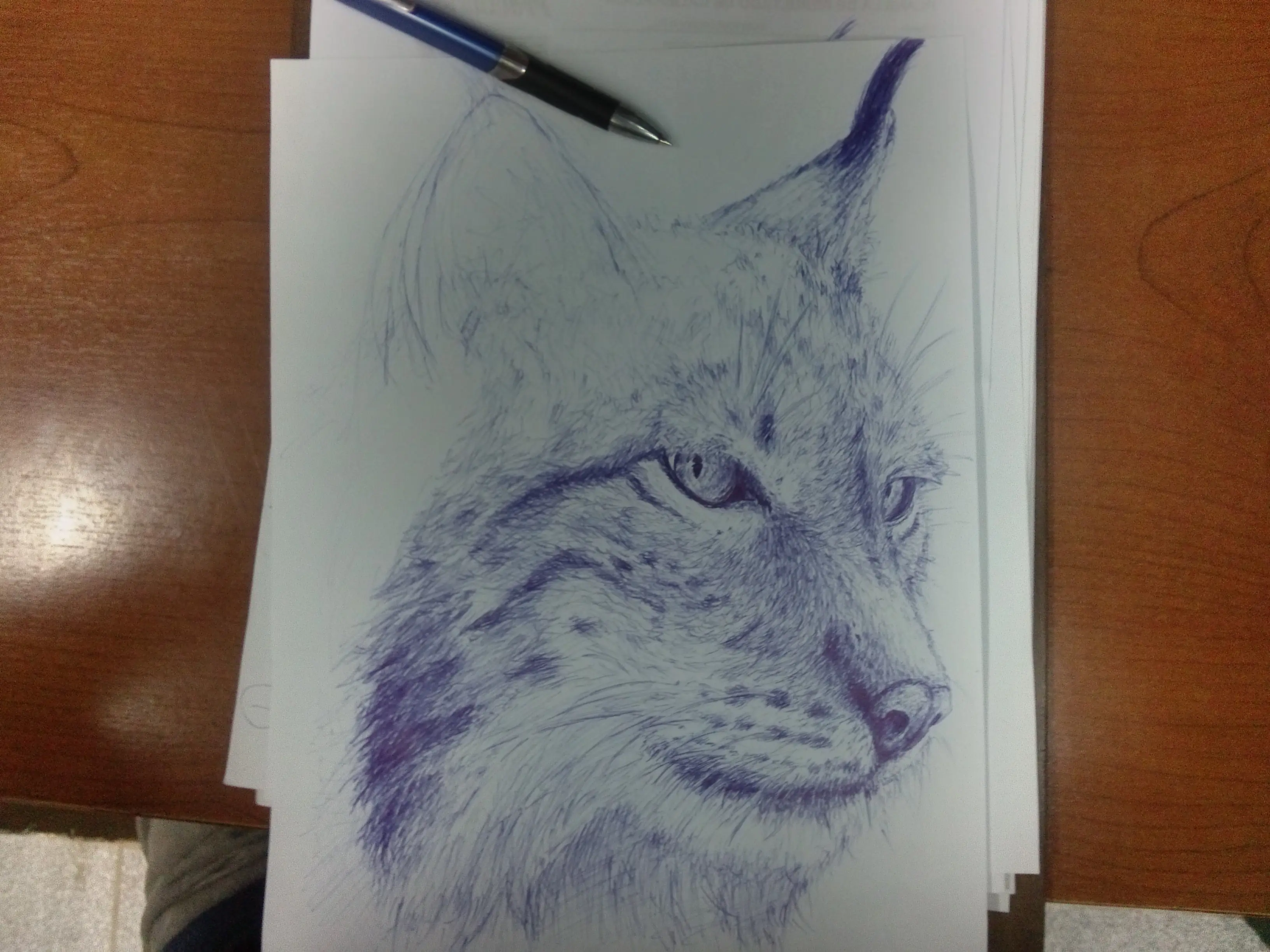 lapicera
