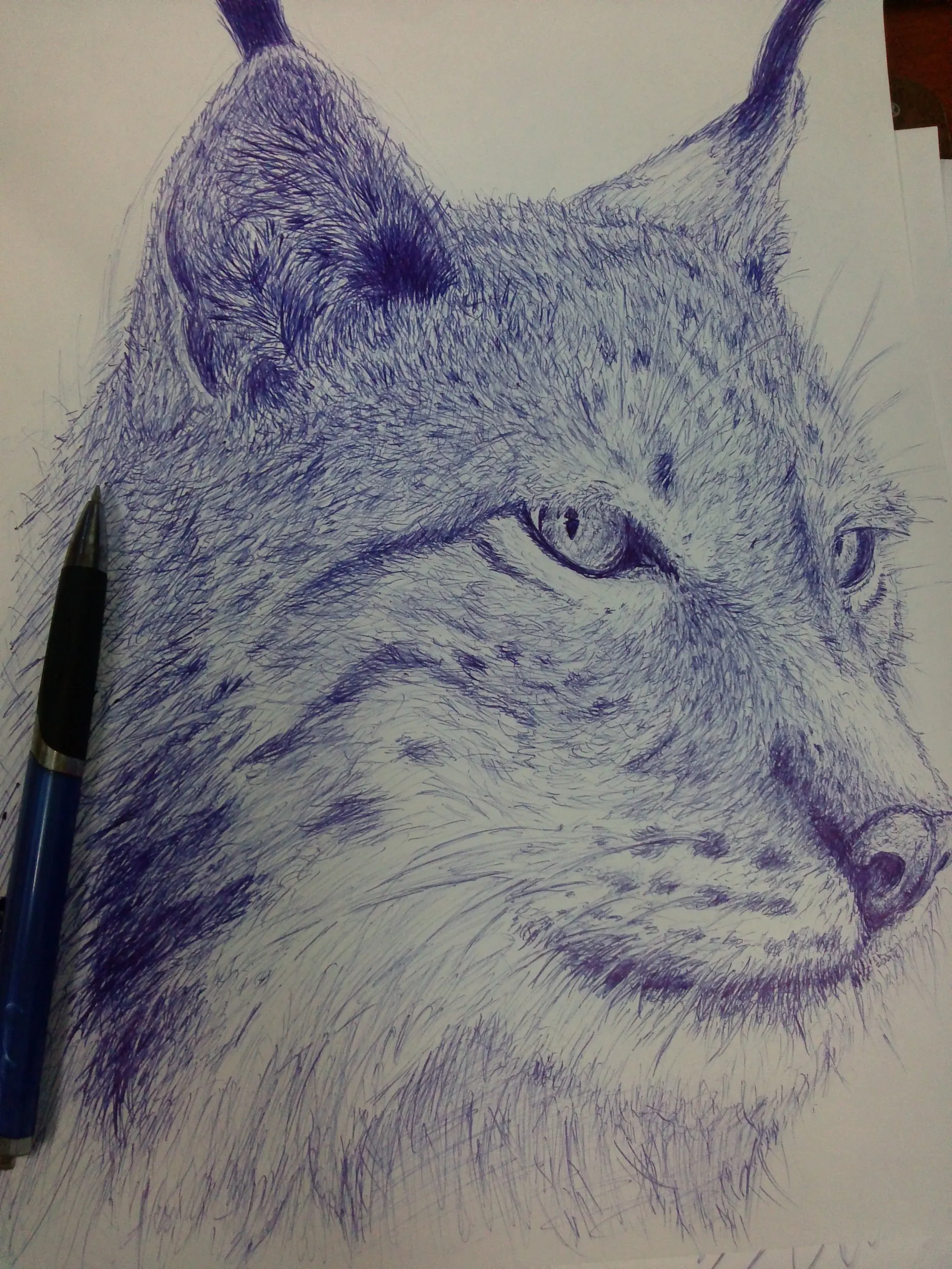 Dibujo