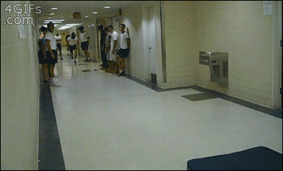 Gifs