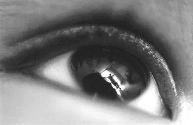 virtudes
