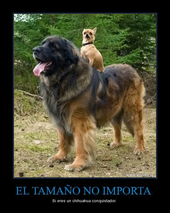 imagenes fail + gifs buenos