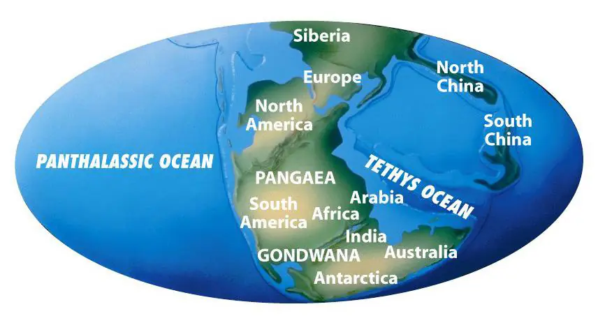 Entra y enterate que fue Pangea