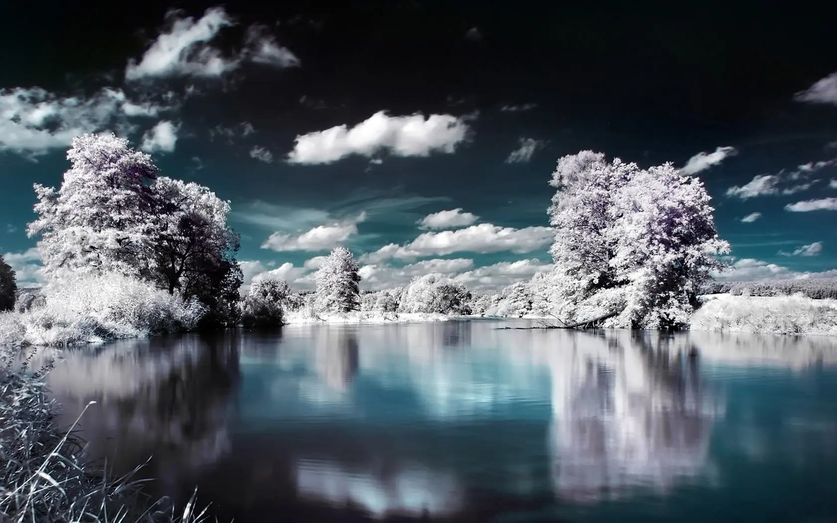 imagenes random