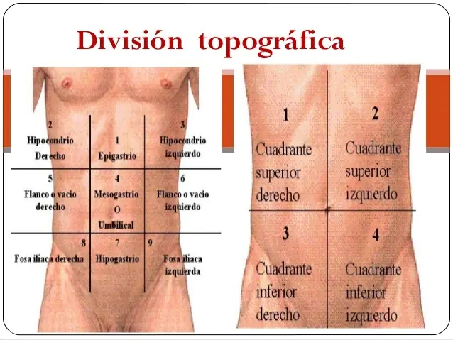 Abdomen Agudo Quirúrgico "Generalidades"