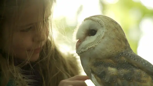 ESPIRITUALIDAD ESPIRITUALIDAD