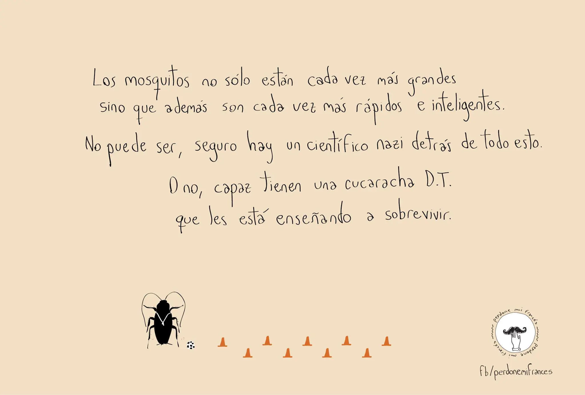 reite