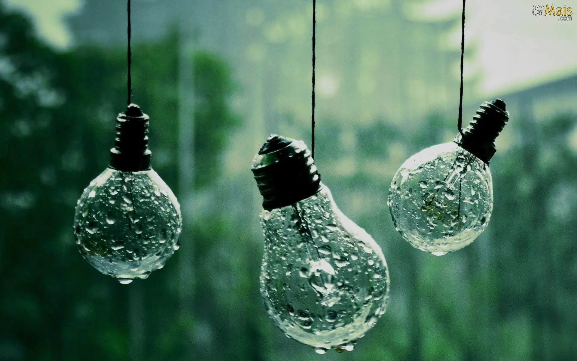 imagenes random