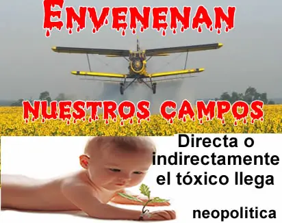 Si hay plata, miramos para otro lado. Si hay plata, miramos para otro lado.