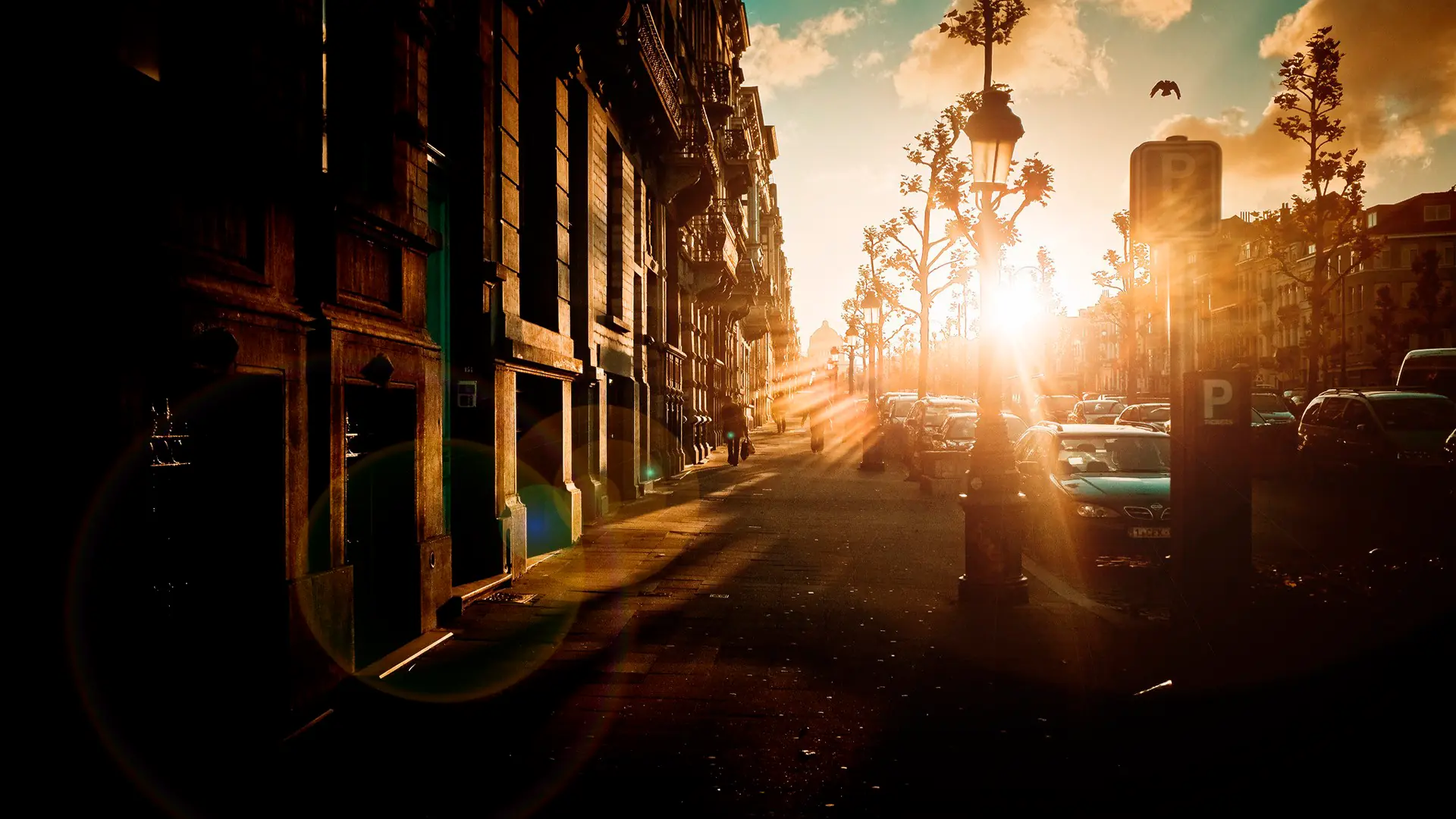 imagenes random