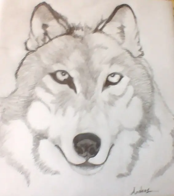 Dibujo digital