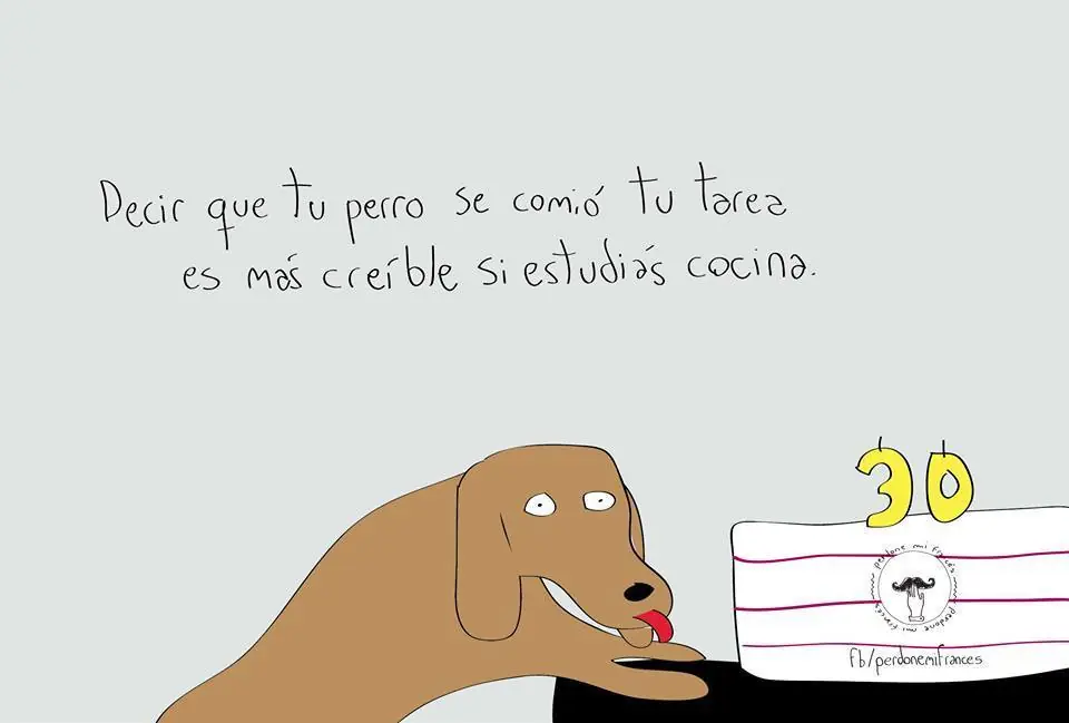 Estoy triste lince y mira lo que hago
