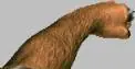 Doom 2