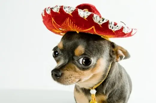 imagenes