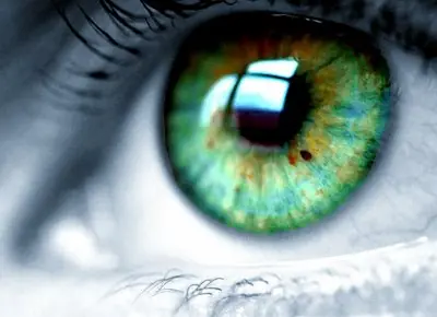 Ojos verdes.