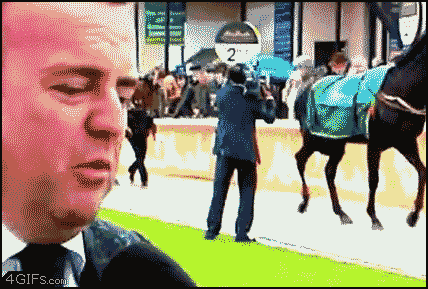 Imagenes y Gifs para pasar el rato.....:D