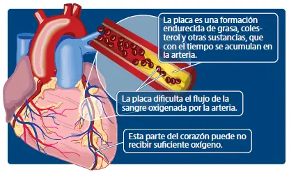 5 beneficios del cigarro para tu salud (sorprendente)