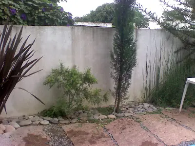 decoracion
