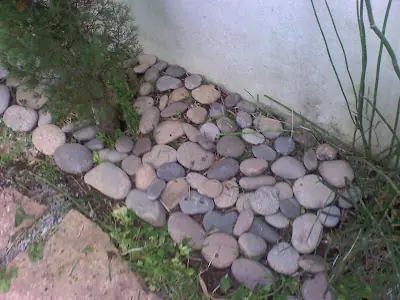 Casero