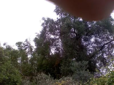 espacio