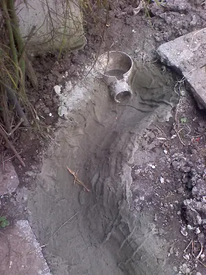 Pileta