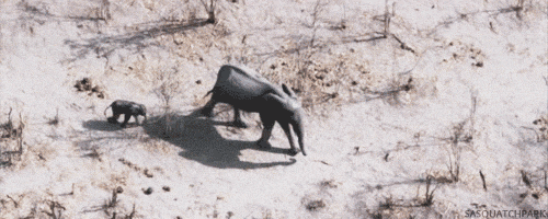 Imagenes y Gifs para pasar el rato.....:D