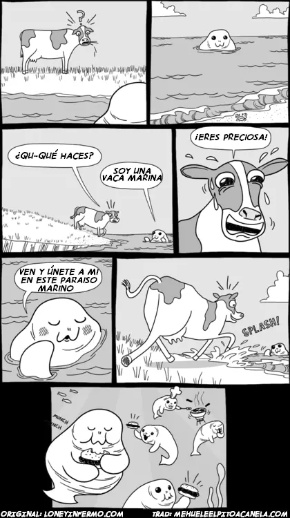 divertidas
