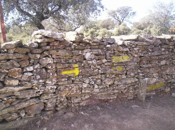 bicigrino bicigrino