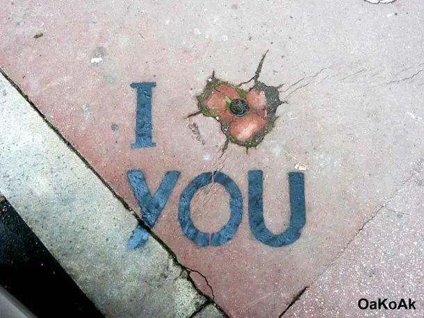 StreetArt: 50 obras de Oak Oak
