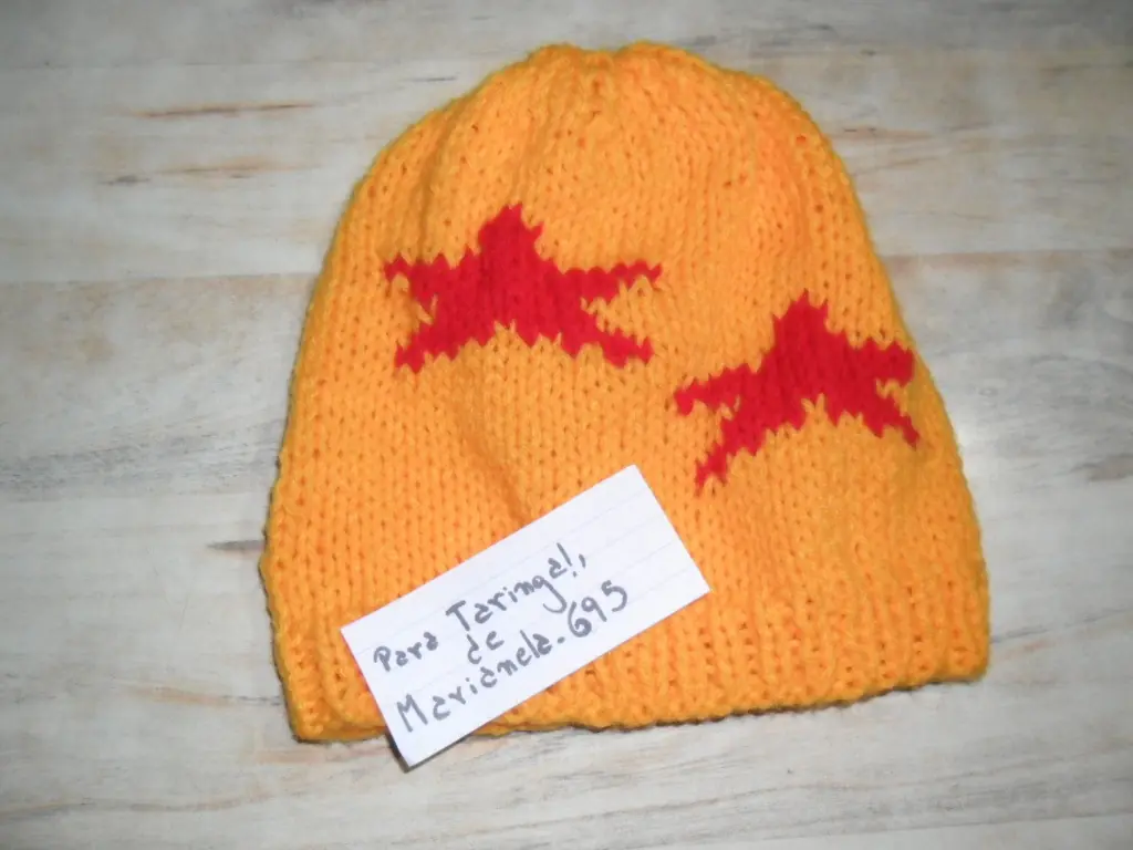 Hice una gorra de Dragon Ball y te la muestro!