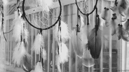 42 Curiosos Datos que quizás no Conozcas!