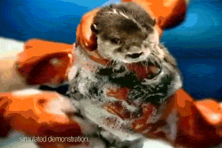 T! At Night? A sacudir la nutria (MiniMegapost)