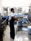 Gifs