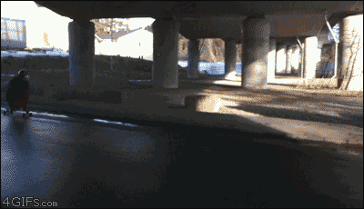 Gifs supermega recopilacion dos