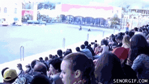recopilacion