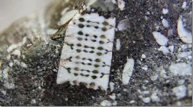Desmintiendo 'Hallan un microchip de 250M de años'