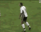 Gifs