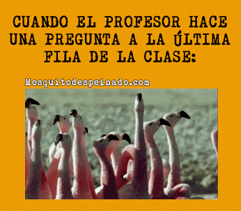 humor