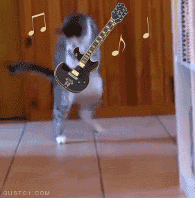 Gifs