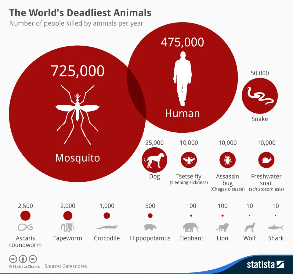 Para que sirven los mosquitos?