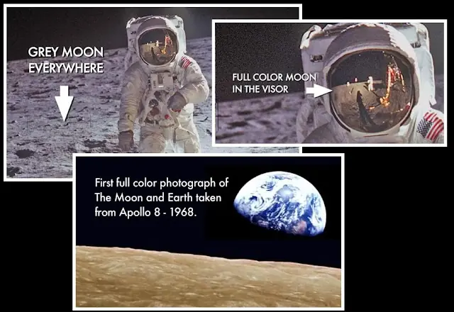 tringa moon