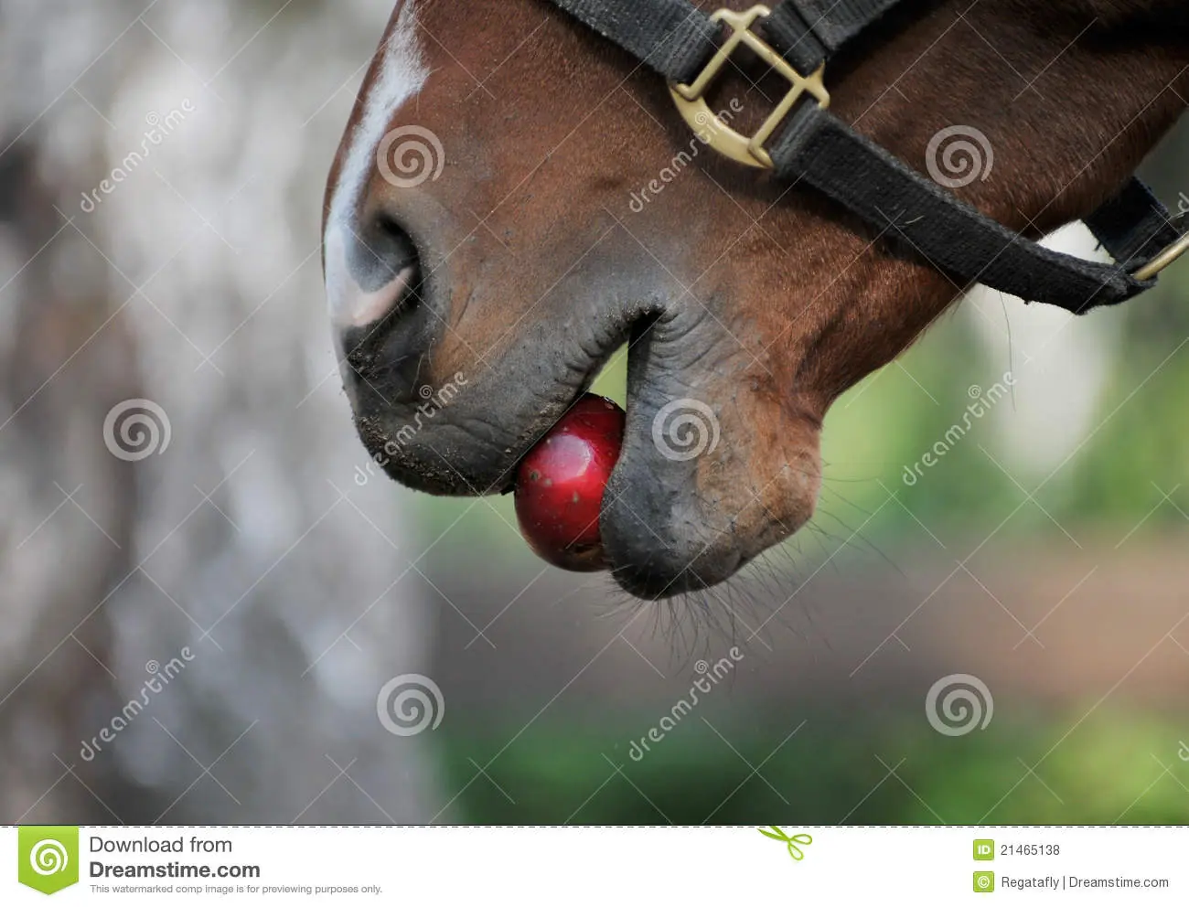 10 imágenes que te haran perder la fe en la humanidad