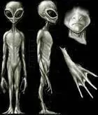 contactoparanormal