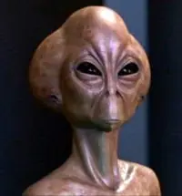 Higodefruta