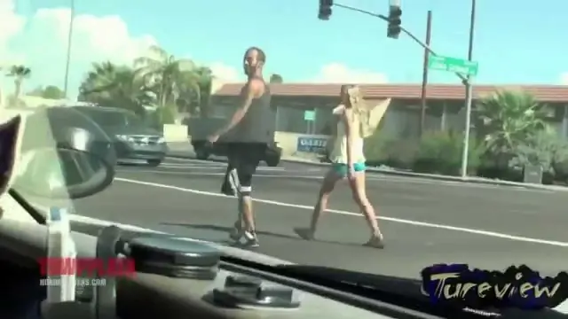 videos grasiosos
