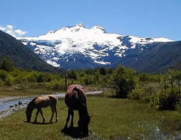 nieve