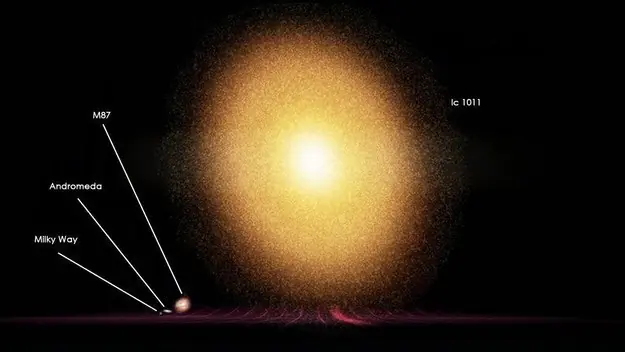33 imágenes que harán replantearte tu existencia