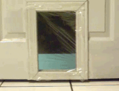 Trolleadas épicas hechas GIF