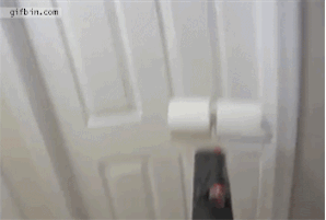 Trolleadas épicas hechas GIF