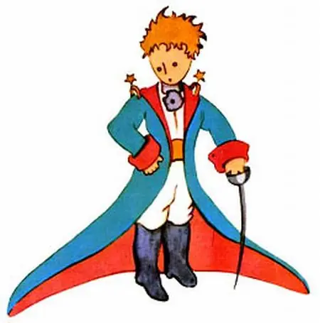 Las Mejores frases Del Principito