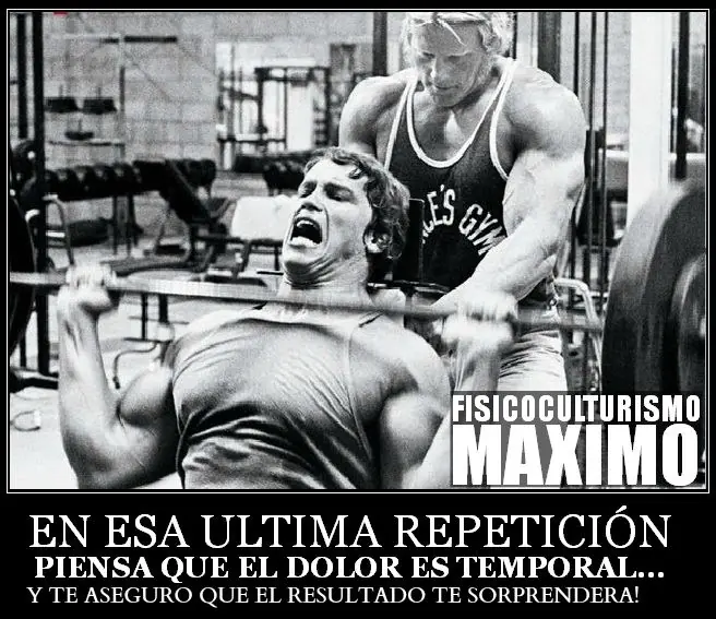 crea musculo